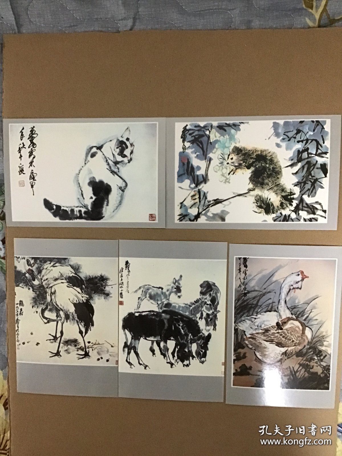 《黄胄作品选 动物和禽鸟》 明信片 全