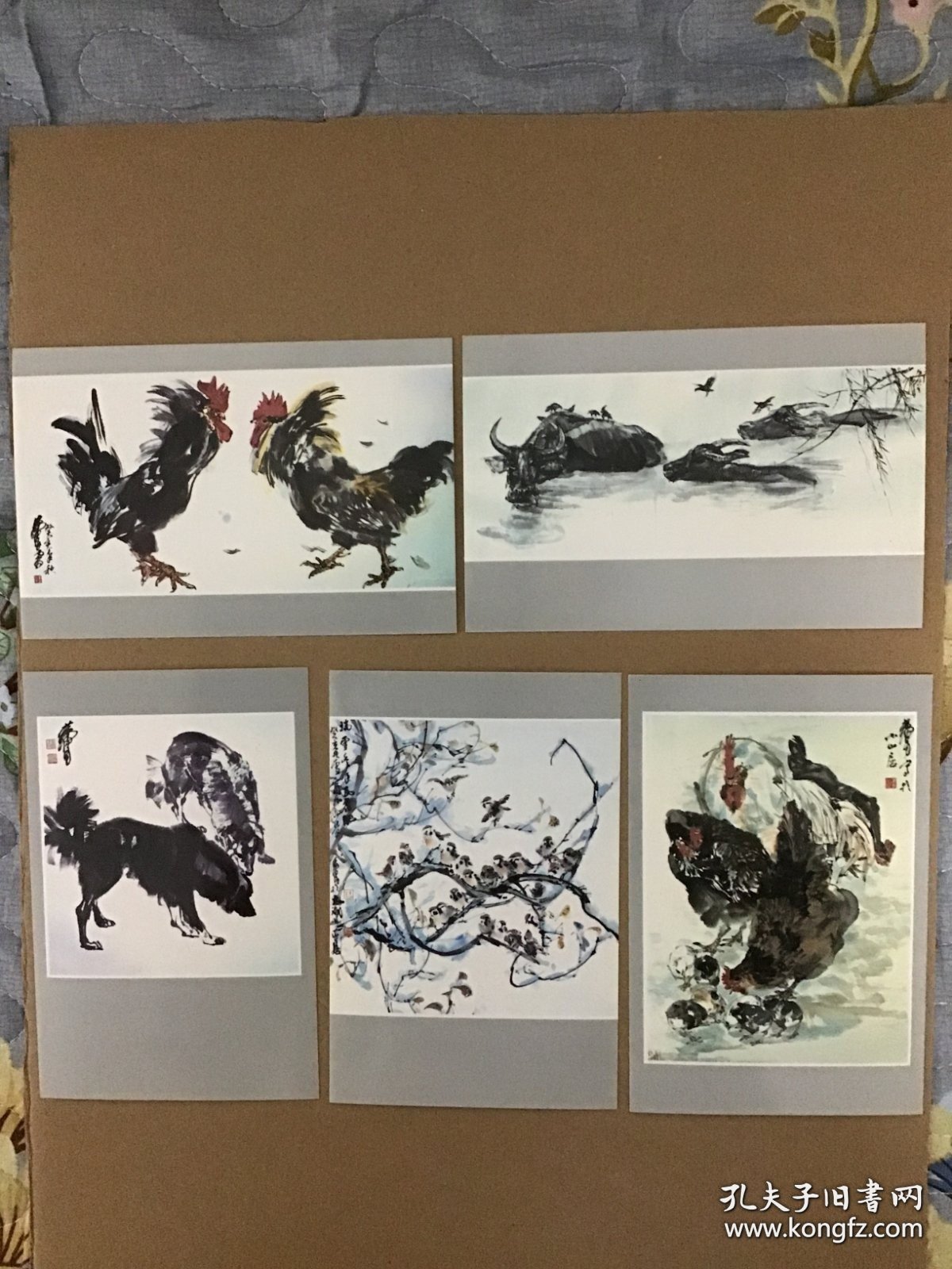 《黄胄作品选 动物和禽鸟》 明信片 全