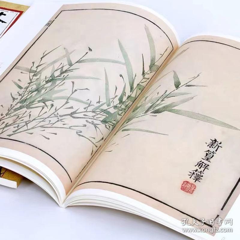 康熙彩色原版芥子园画传 花鸟卷竹谱 画谱画集王概安徽美术出版社 8开彩墨画册王著王臬国画彩版工笔画临摹书籍入门自学梅兰竹菊