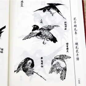 精装 芥子园画谱 花卉翎毛集 中国传统文化经典荟萃 王概编著 画传图谱草虫花鸟花鸟画黑白介子园教学教程教材美术绘画入门国画