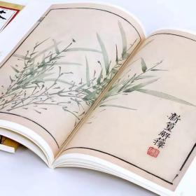 康熙彩色原版芥子园画传 花鸟卷竹谱 画谱画集王概安徽美术出版社 8开彩墨画册王著王臬国画彩版工笔画临摹书籍入门自学梅兰竹菊