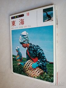 日文版ヵラ一ガイドシリ一ズ 东海（旅游）