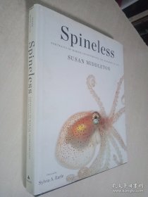 Spineless 海洋中的软体动物