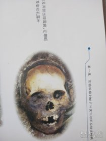 尸体变化图鉴