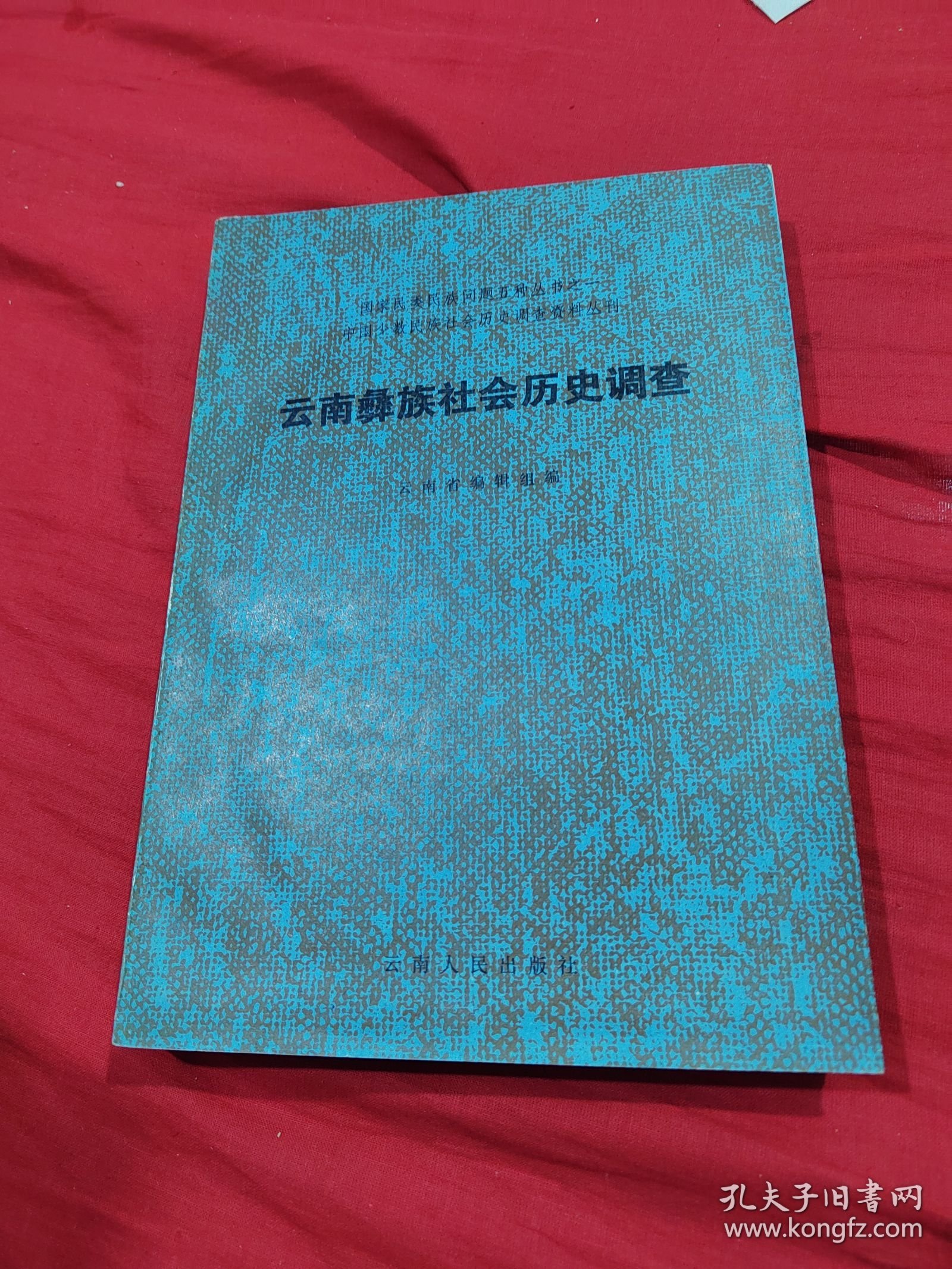 云南彝族社会历史调查