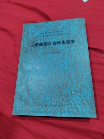 云南彝族社会历史调查