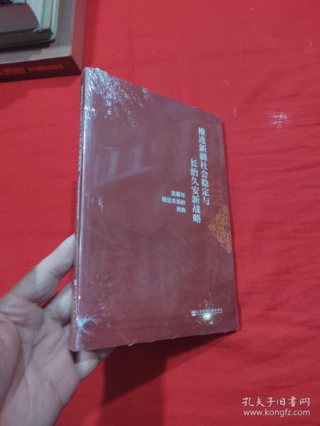推进新疆社会稳定与长治久安新战略:发展与稳定关系的视角