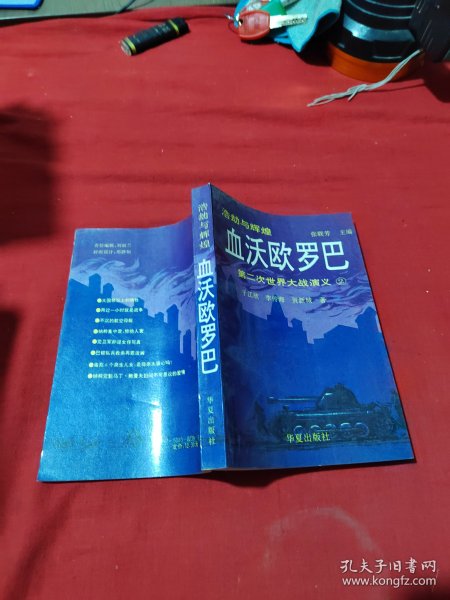 血沃欧罗巴 第二次世界大战演义2
