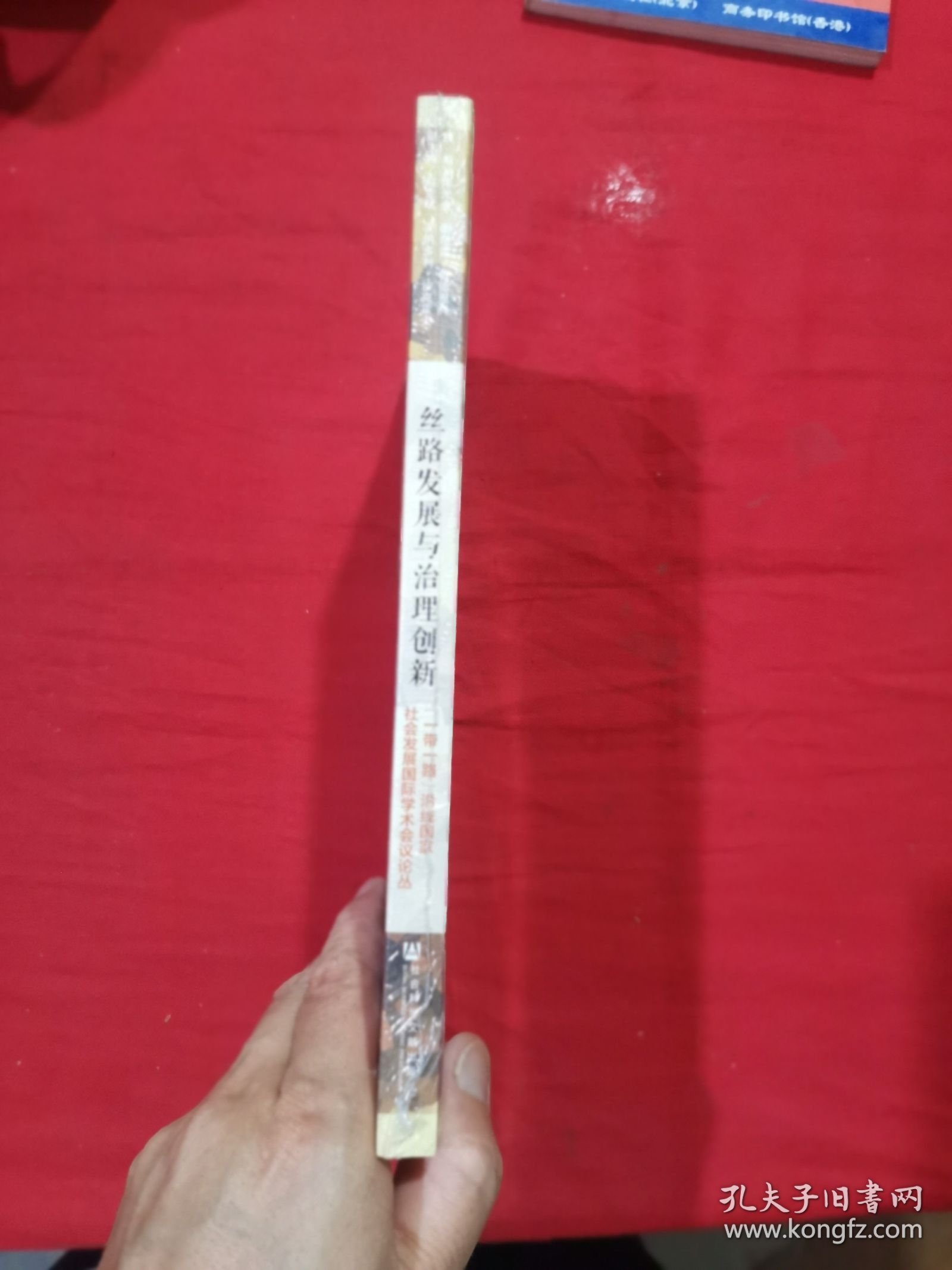 丝路发展与治理创新：“一带一路”沿线国家社会发展国际学术会议论丛