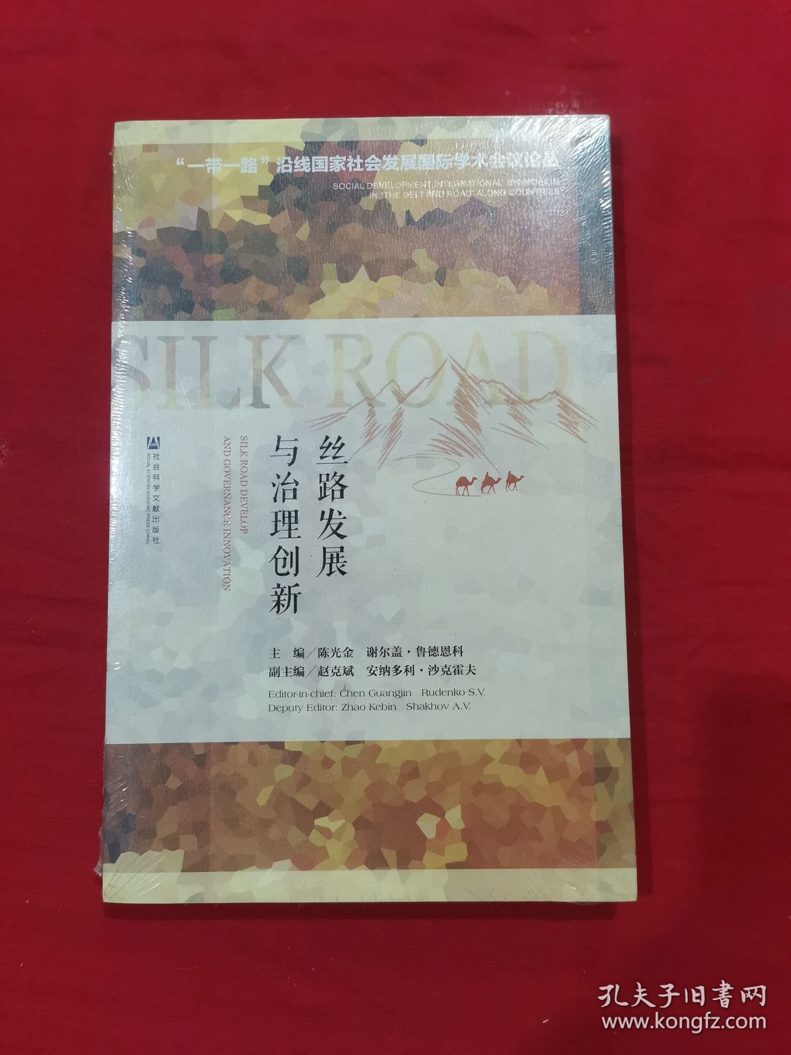 丝路发展与治理创新：“一带一路”沿线国家社会发展国际学术会议论丛