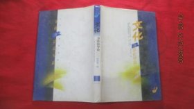 文化方法論導論