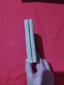 弄堂里的老上海人（2册）
