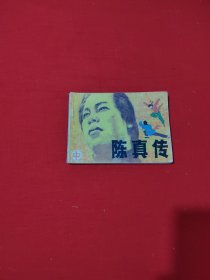 陈真传 中