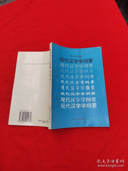 现代汉字学纲要