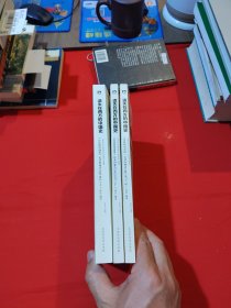 遗失在西方的中国史（三册）：《伦敦新闻画报》记录的晚清（1842-1873）