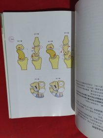 骨关节功能解剖学 上卷：上肢（第6版）