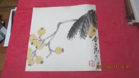白石老人 画杏子