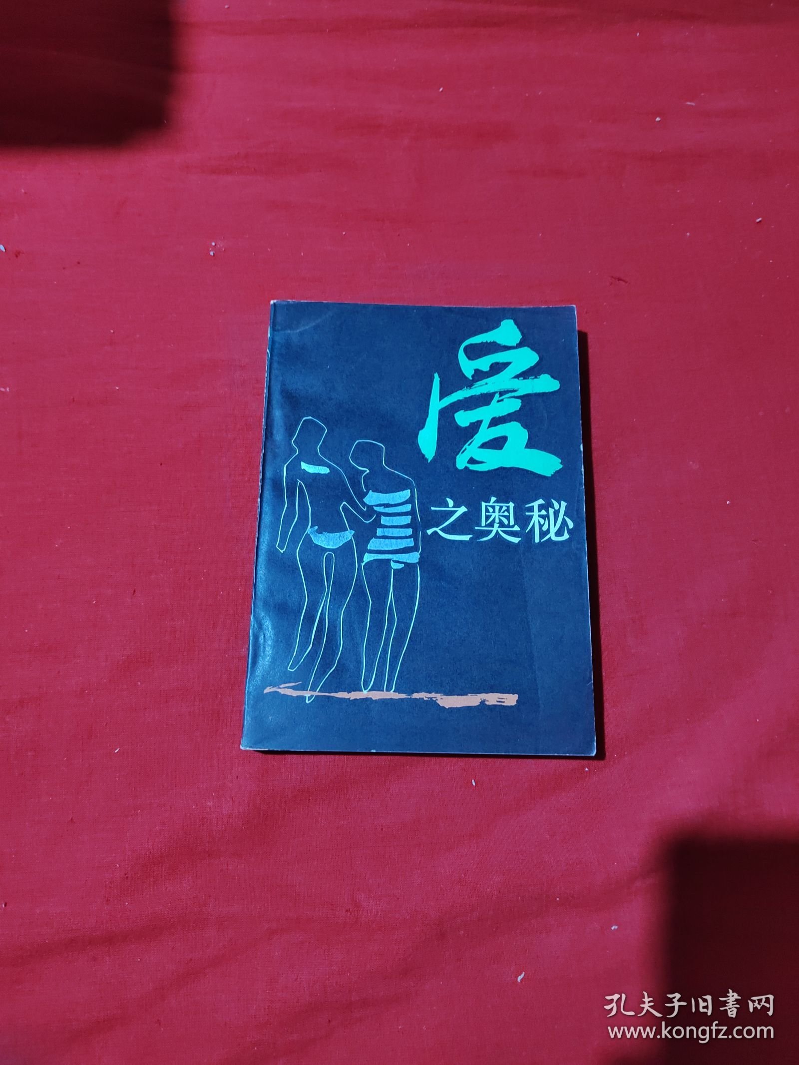 爱之奥秘