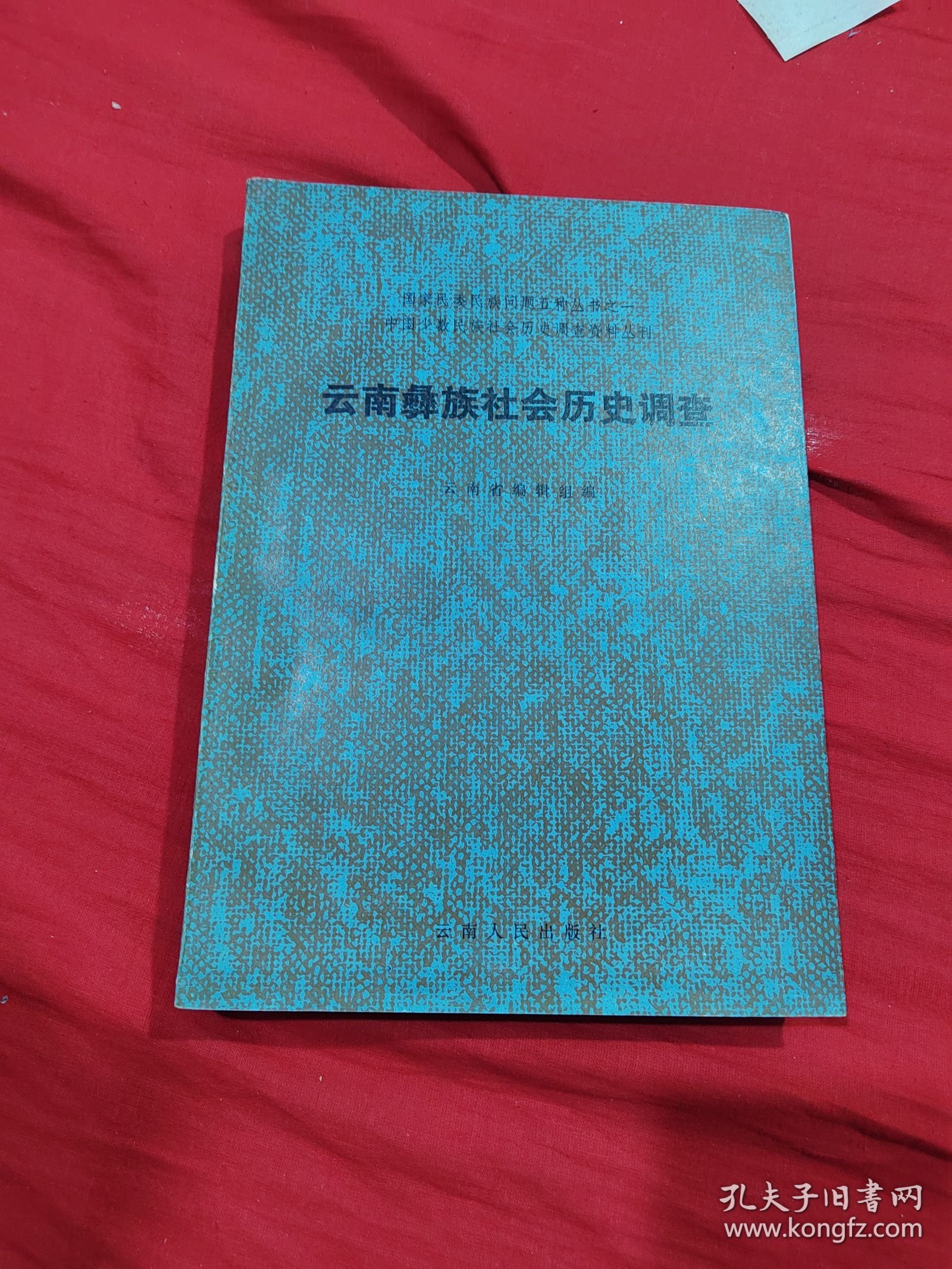 云南彝族社会历史调查