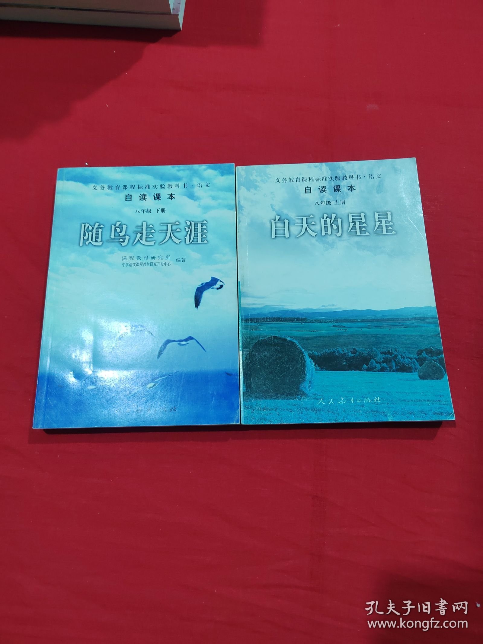 义务教育课程标准实验教科书语文 自读课本：白天的星星 随鸟走天涯（八年级上下册）