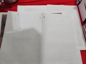 初中课本 历代美术作品欣赏 （外国部分 2）14张全