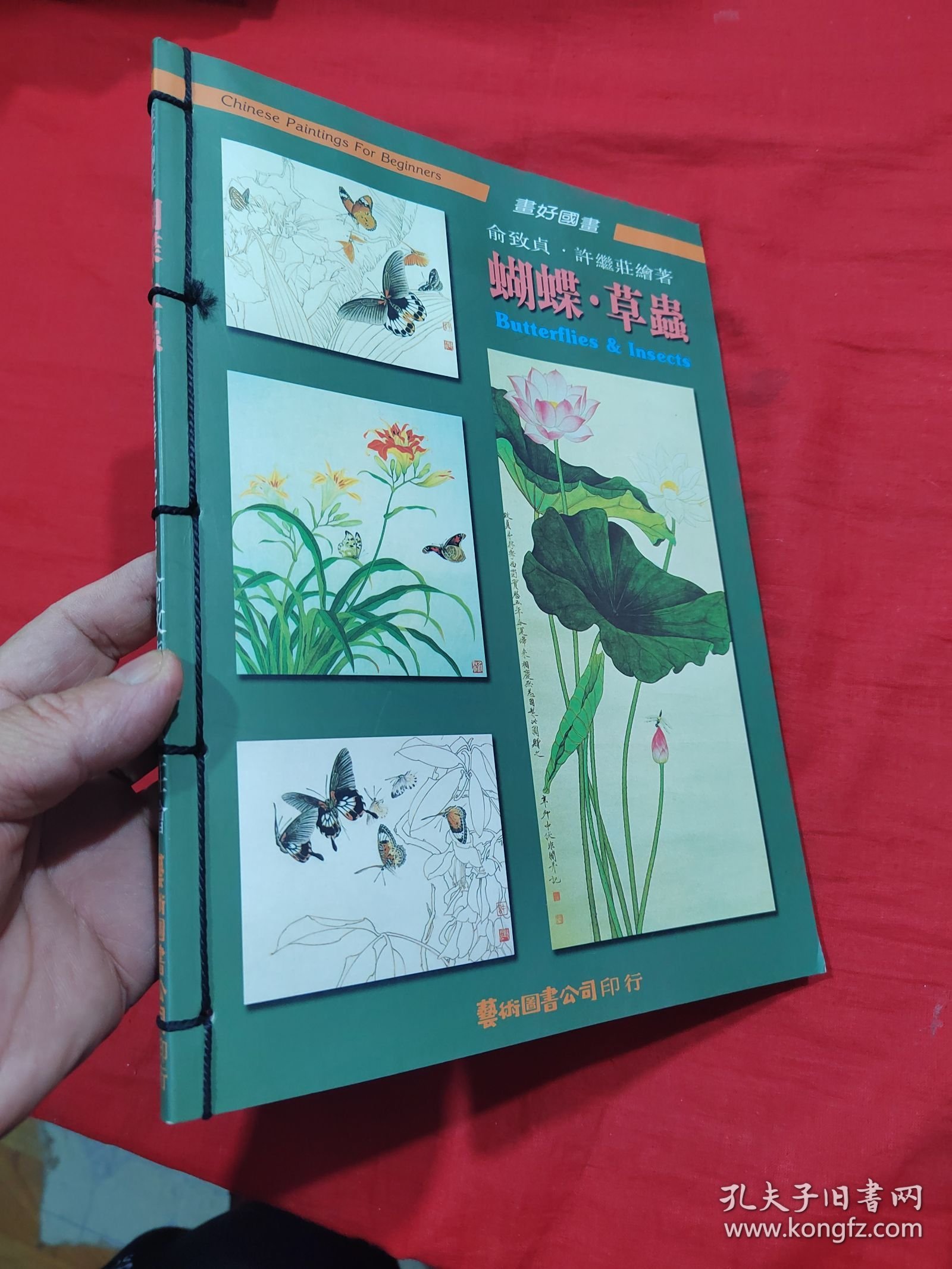 画好国画蝴蝶草虫