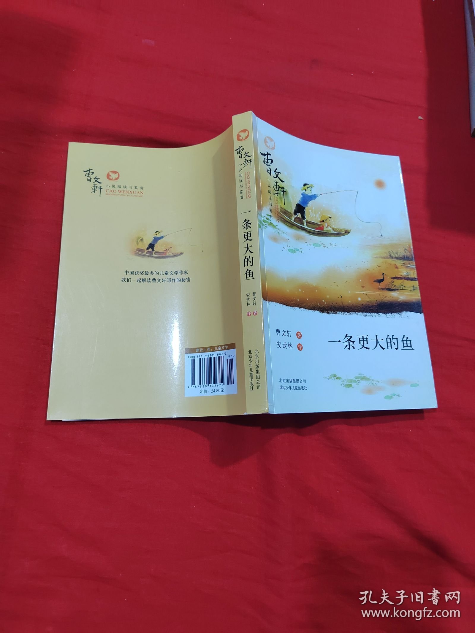 点击查看原图 曹文轩小说阅读与鉴赏:一条更大的鱼