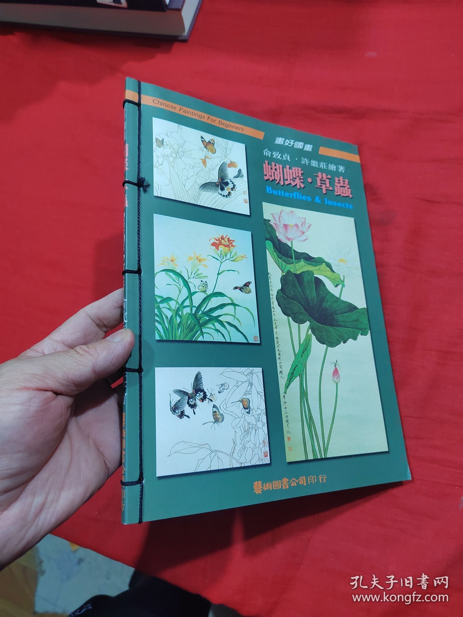 画好国画蝴蝶草虫