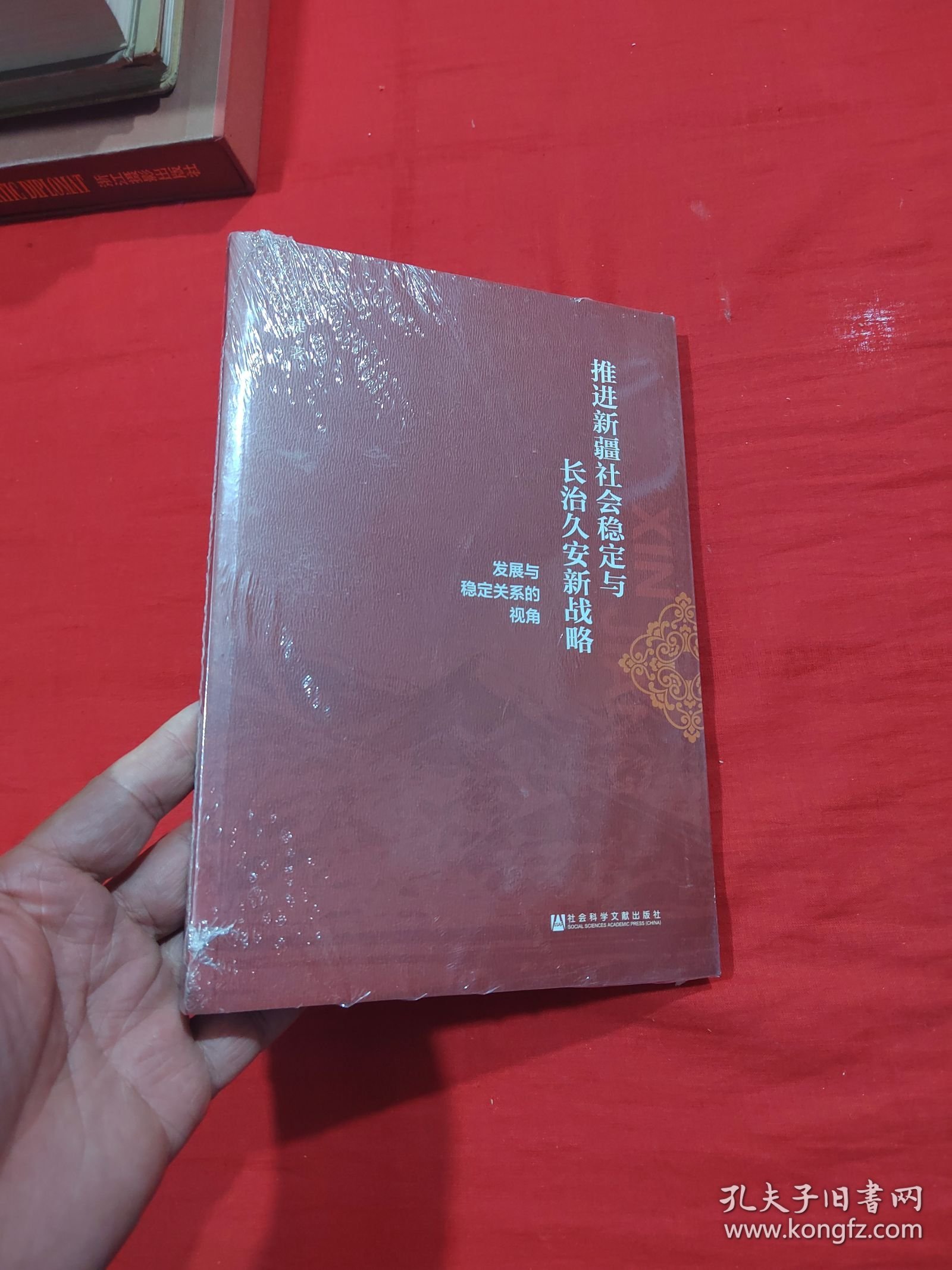 点击查看原图 推进新疆社会稳定与长治久安新战略:发展与稳定关系的视角