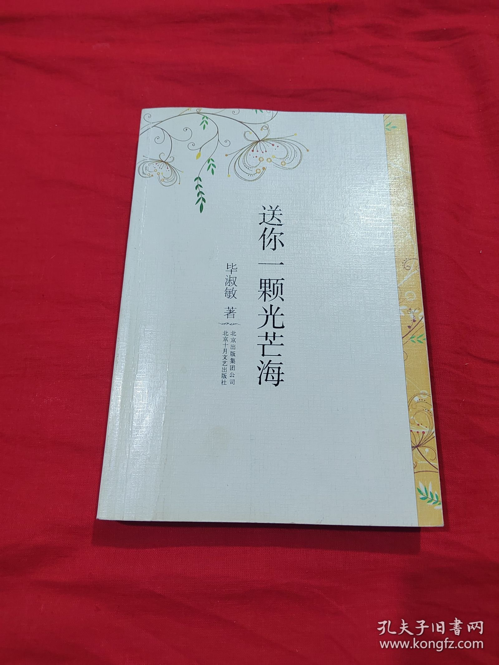 送你一颗光芒海