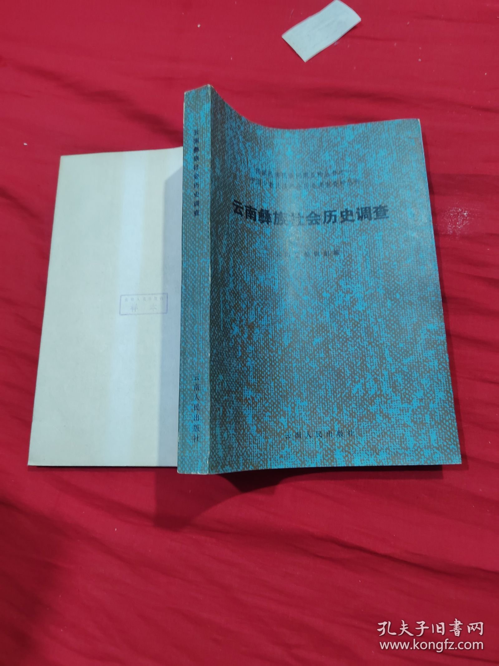 云南彝族社会历史调查