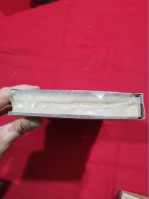 追忆似水年华 三