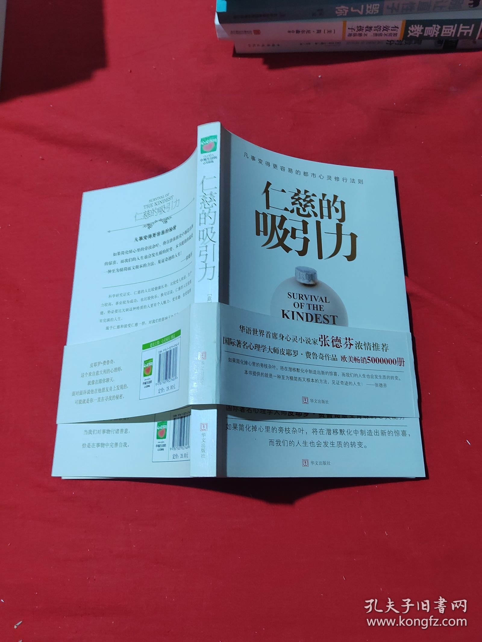 点击查看原图 仁慈的吸引力