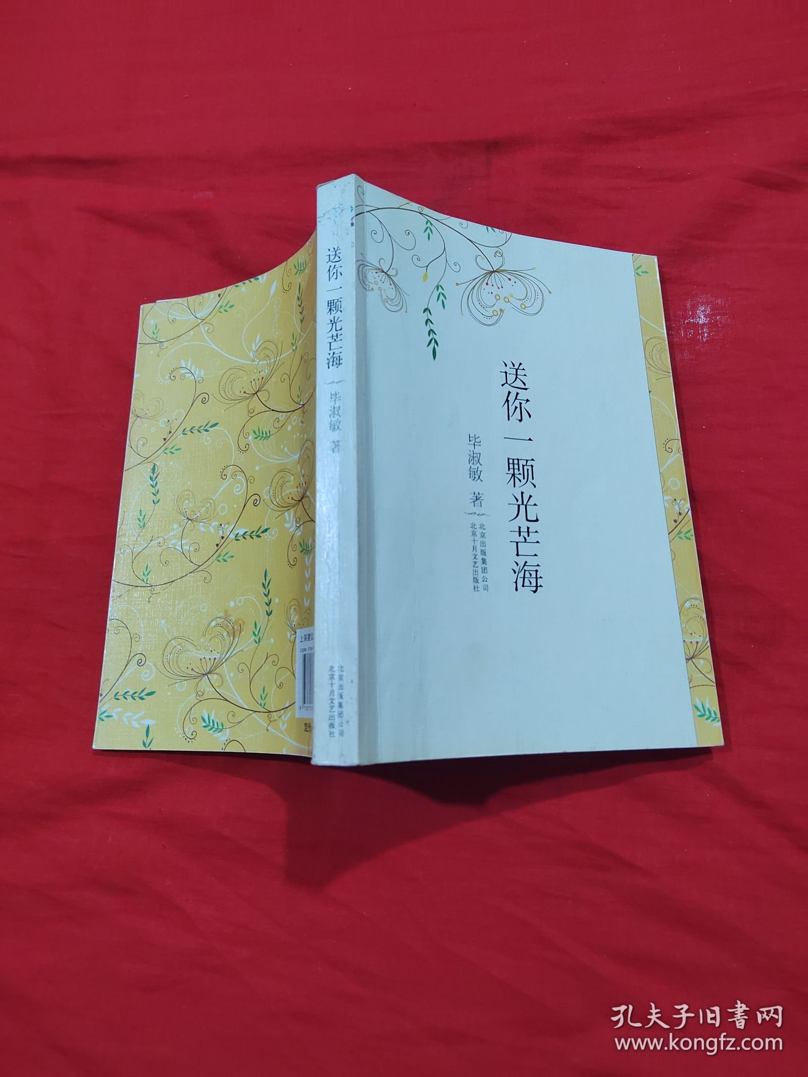 送你一颗光芒海