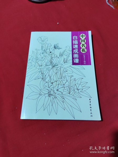 中国名花 白描速成画谱