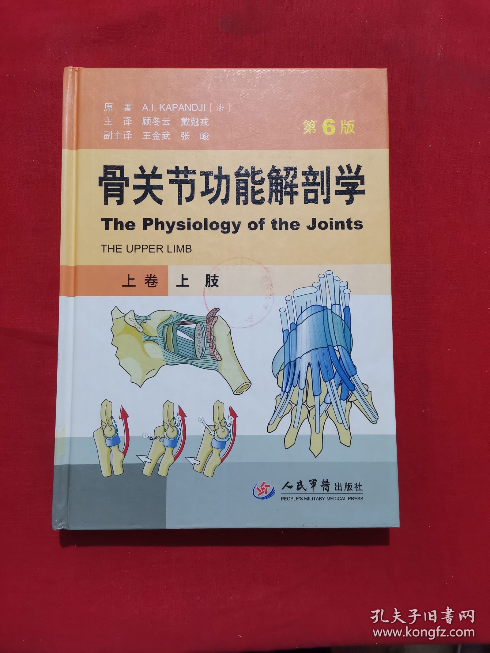 骨关节功能解剖学 上卷：上肢（第6版）