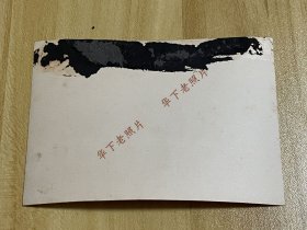 民国时期，辽宁沈阳，奉天北陵的山门。