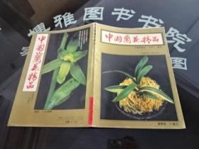 中国兰花精品 正版实物图 货号16-2