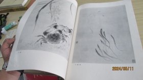 新罗山人画集 实物拍照 货号+3-1