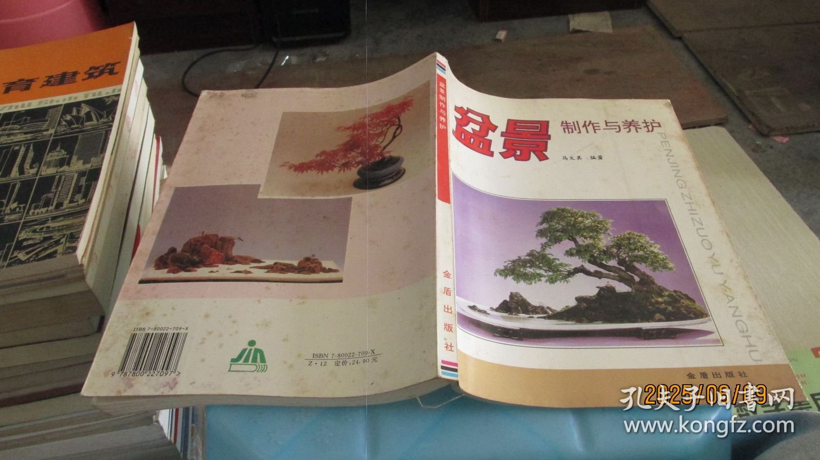 盆景制作与养护 实物拍照 货号m29-7