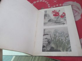 上海花鸟画选集（1962年一版一印 上海人民美术出版社 精装 ） 实物拍照 品如图 详情见图 货号+3-2