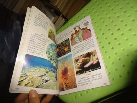 自然图书馆 珊瑚 水母 热带鱼         自鉴实物图   货号78-2