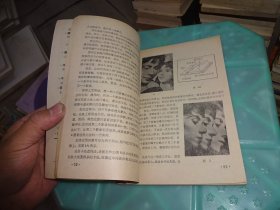 摄影丛刊 10     实物图 货号 39-3