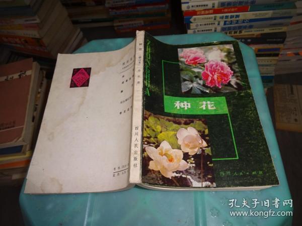 种花      实物图 货号 62-3