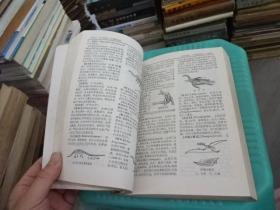 辞海 生物分册  实物图 私人包装  货号51-6