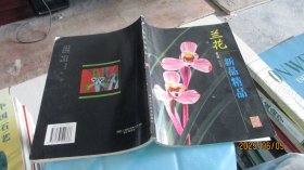 兰花新品精品 实物拍照 货号m29-7