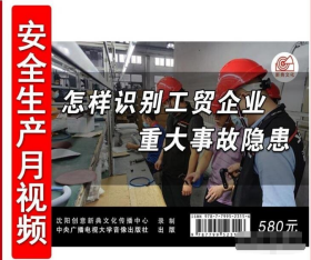 怎样识别工贸企业重大事故隐患U盘版/3集视频2024年全国安全生产月活动警示教育片安全视频培训音像资料   b