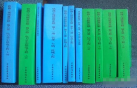 2010年铁路工程预算定额 2010年版铁路工程预算定额桥梁隧道轨道土建路基工程定额13册17本 b