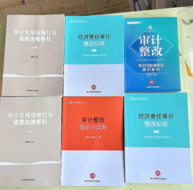 2024年全国审计干部职业教育培训用书全套10种书审计整改常见问题清单与案例解析 +现行审计法规与审计准则及政策解读+经济责任审计整改标准 +审计整改理论与实务+ 国家审计案例研究b