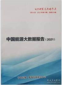 2021中国能源大数据报告
